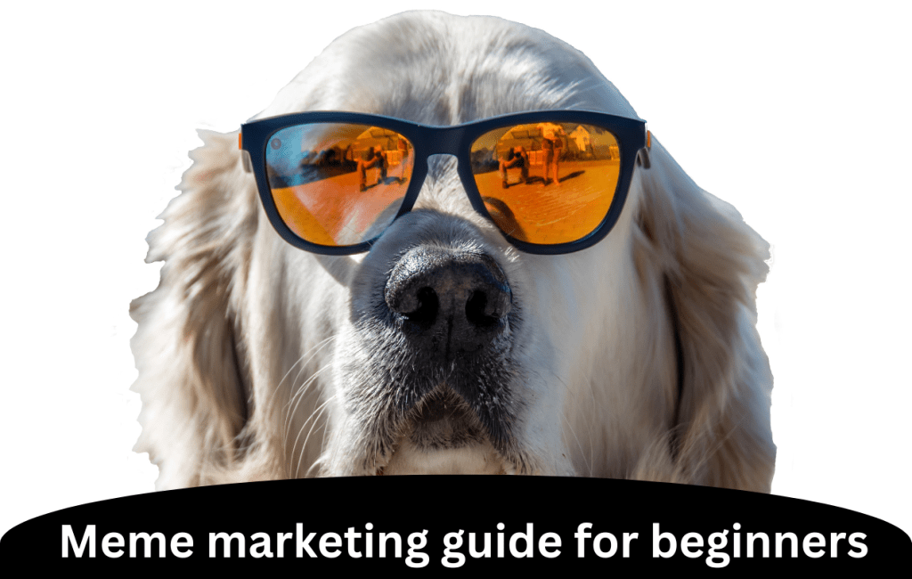 Meme marketing guide for beginners